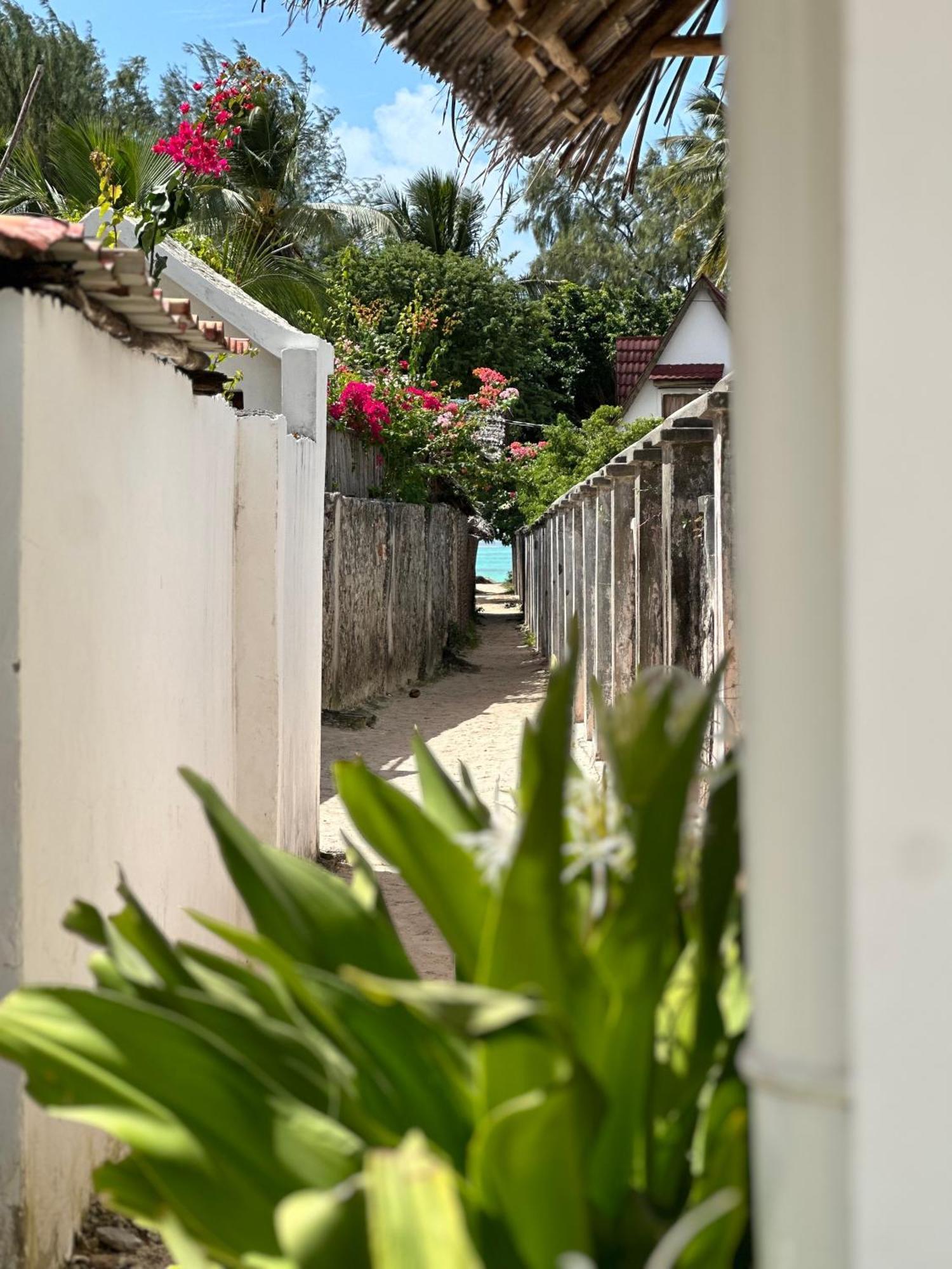Mlango Paje House II Bed and Breakfast Buitenkant foto
